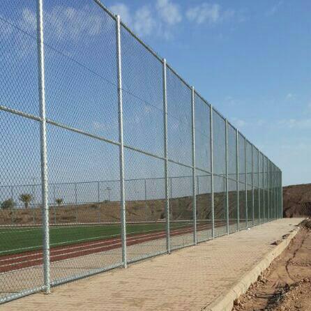 صورة 3