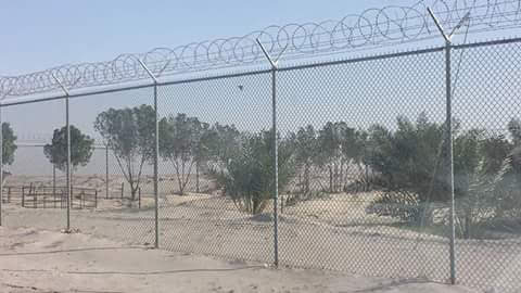 صورة 4