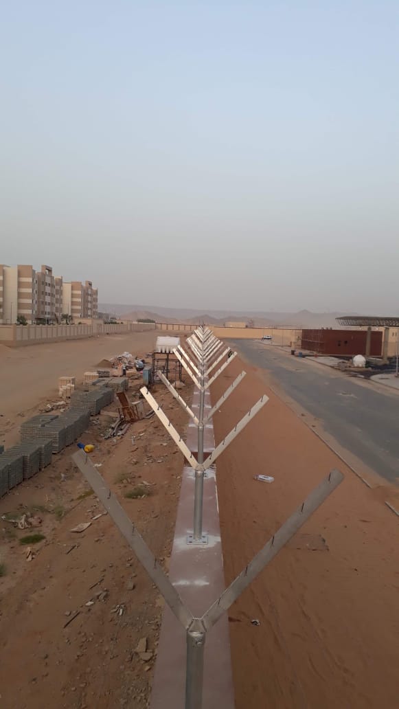 صورة 4