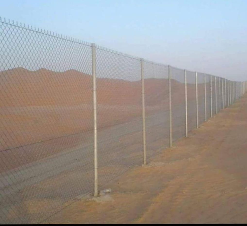 صورة 4